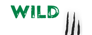 Wild Casino Review