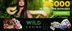 wildcasino withdrawal