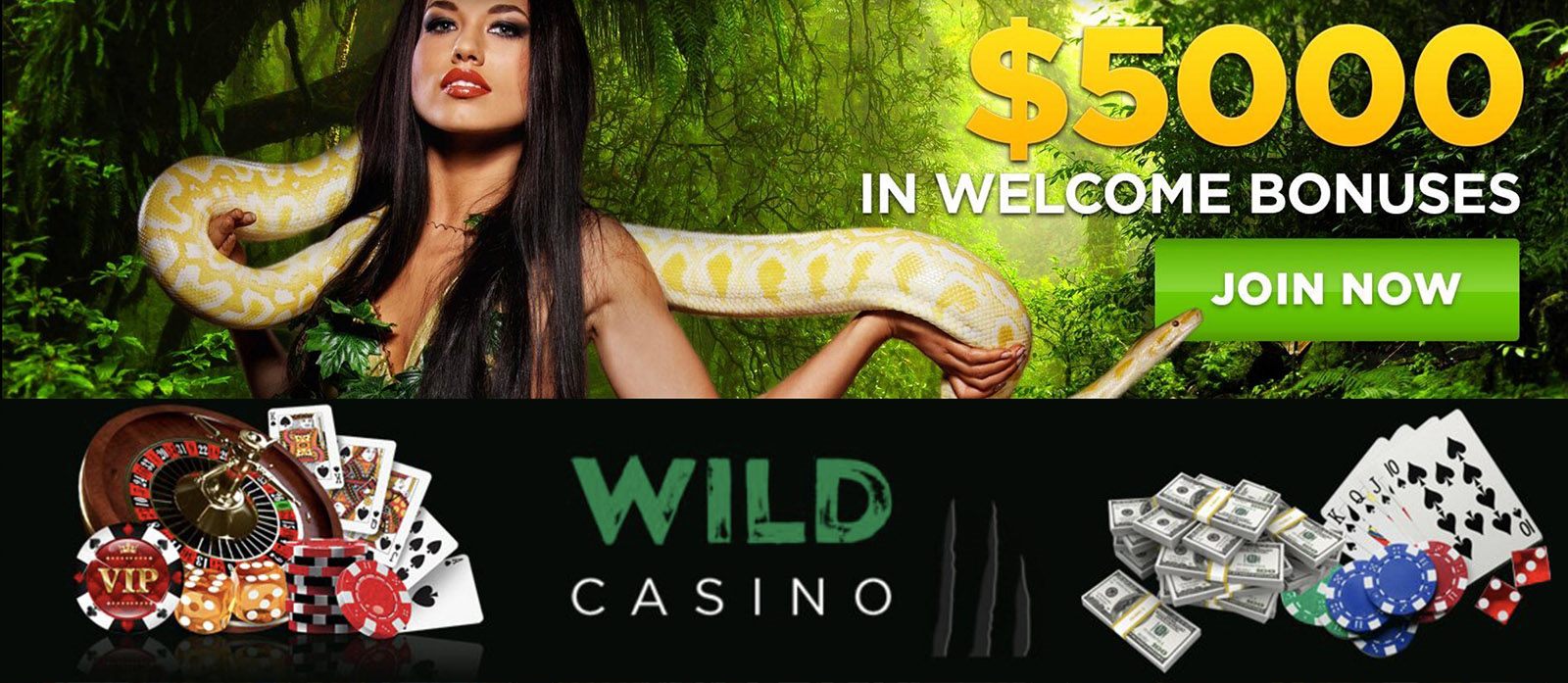 wildcasino withdrawal