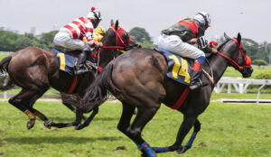A Complete Guide On How To Bet On Horse Racing